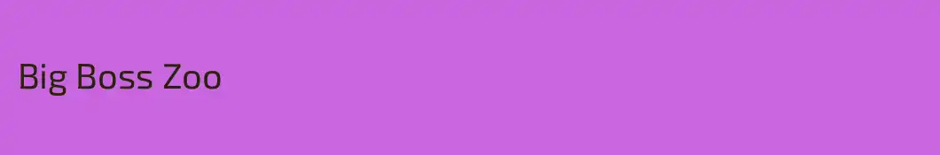 Big Boss Zoo
